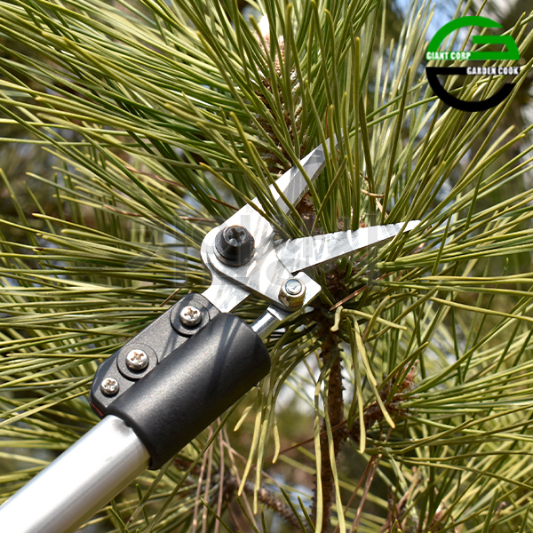 가든쿡 스텐 40% 초경량 고적과가위 1.2 순자르기 순치기 곁순정리 고지가위 잎솎아내기