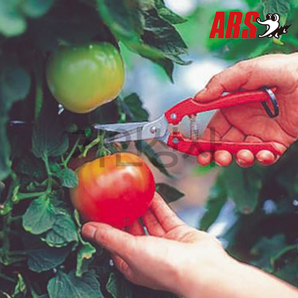 일제 아루스 스텐 채과가위 SE-45 /날교체식 아로스 적과 가위 열매 과일 따기 ARS