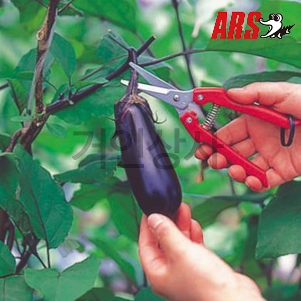일제 아루스 스텐 채과가위 SE-45 /날교체식 아로스 적과 가위 열매 과일 따기 ARS