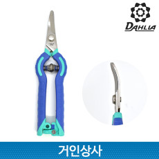일제 DAHLIA 스텐 곡가위 /채과가위 곡날 적과가위 채수 열매 꼭지따기 사과 배 포도