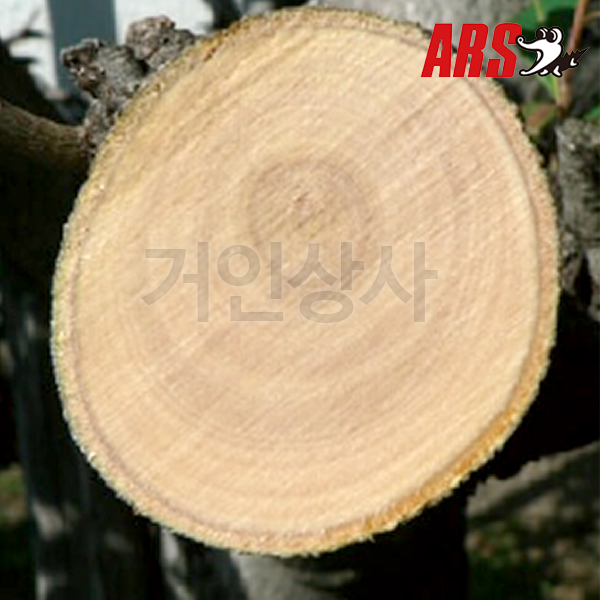 아루스 톱날 P-18-1/ 공작톱 원예톱 목공톱 휴대용 접이식 나무 정원 아로스 ARS