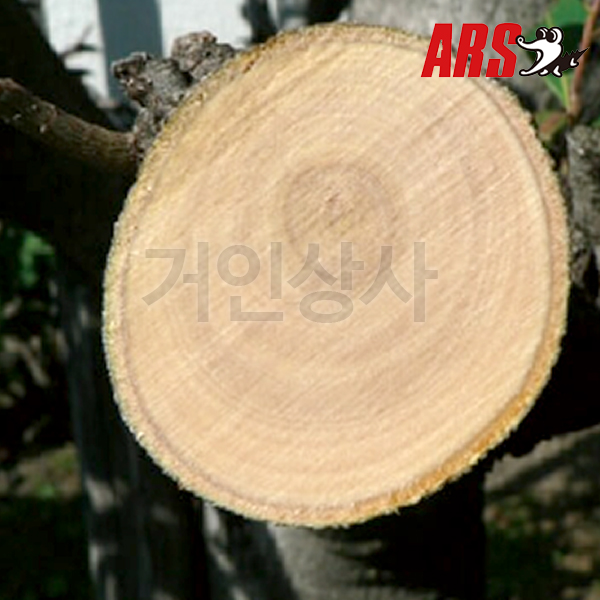 일제 아루스 전지톱 PS-22L/전정톱 나무톱 정원 조경 원예용 PS22L 아로스 ARS